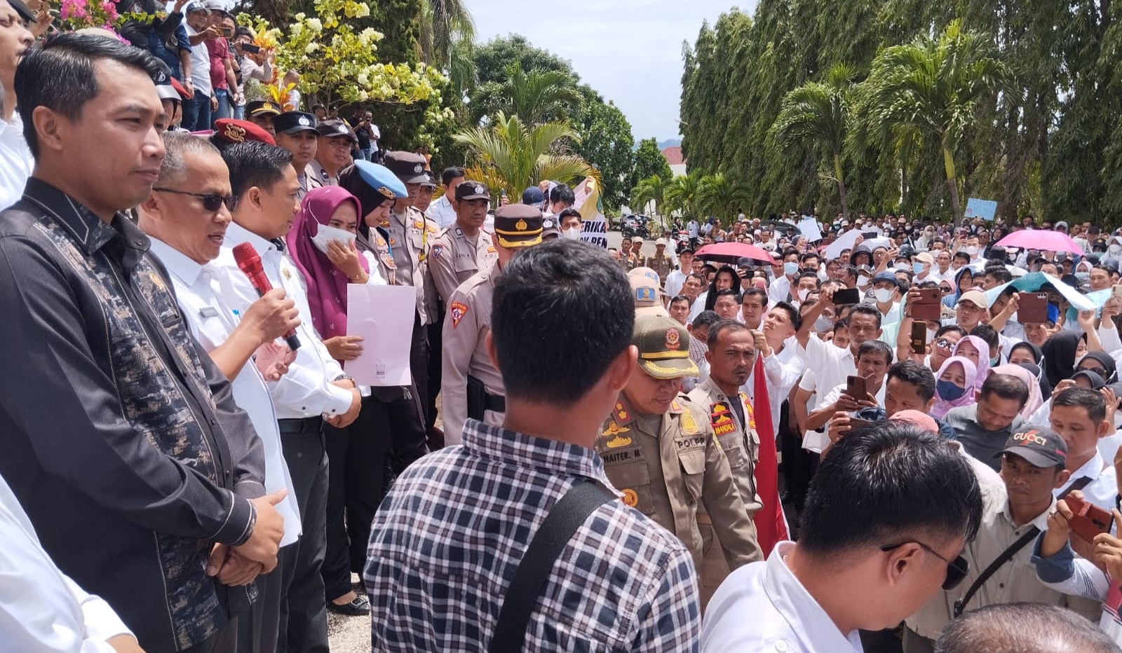 Honorer Datangi Kantor Bupati Tanggamus, Minta Dijadikan PPPK Penuh Waktu 