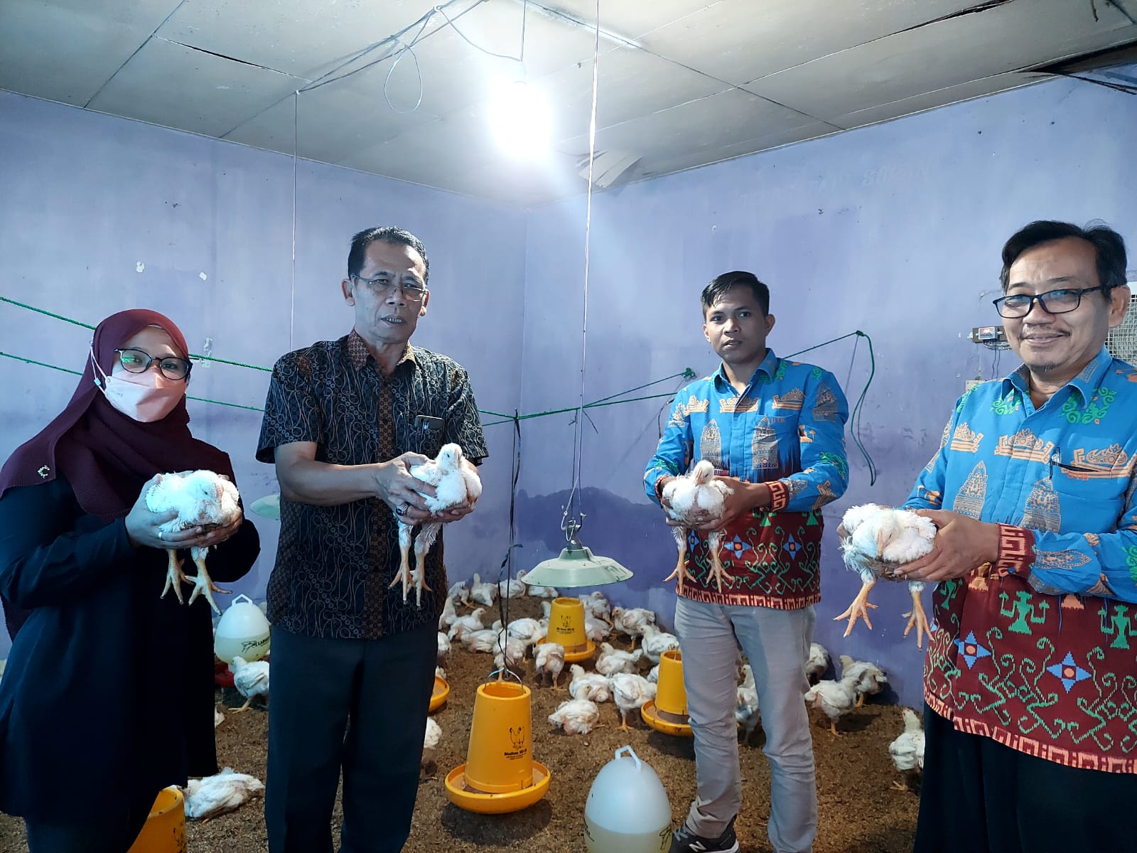 Mahasiswa Fakultas Peternakan UTB Panen Perdana Ayam Broiler