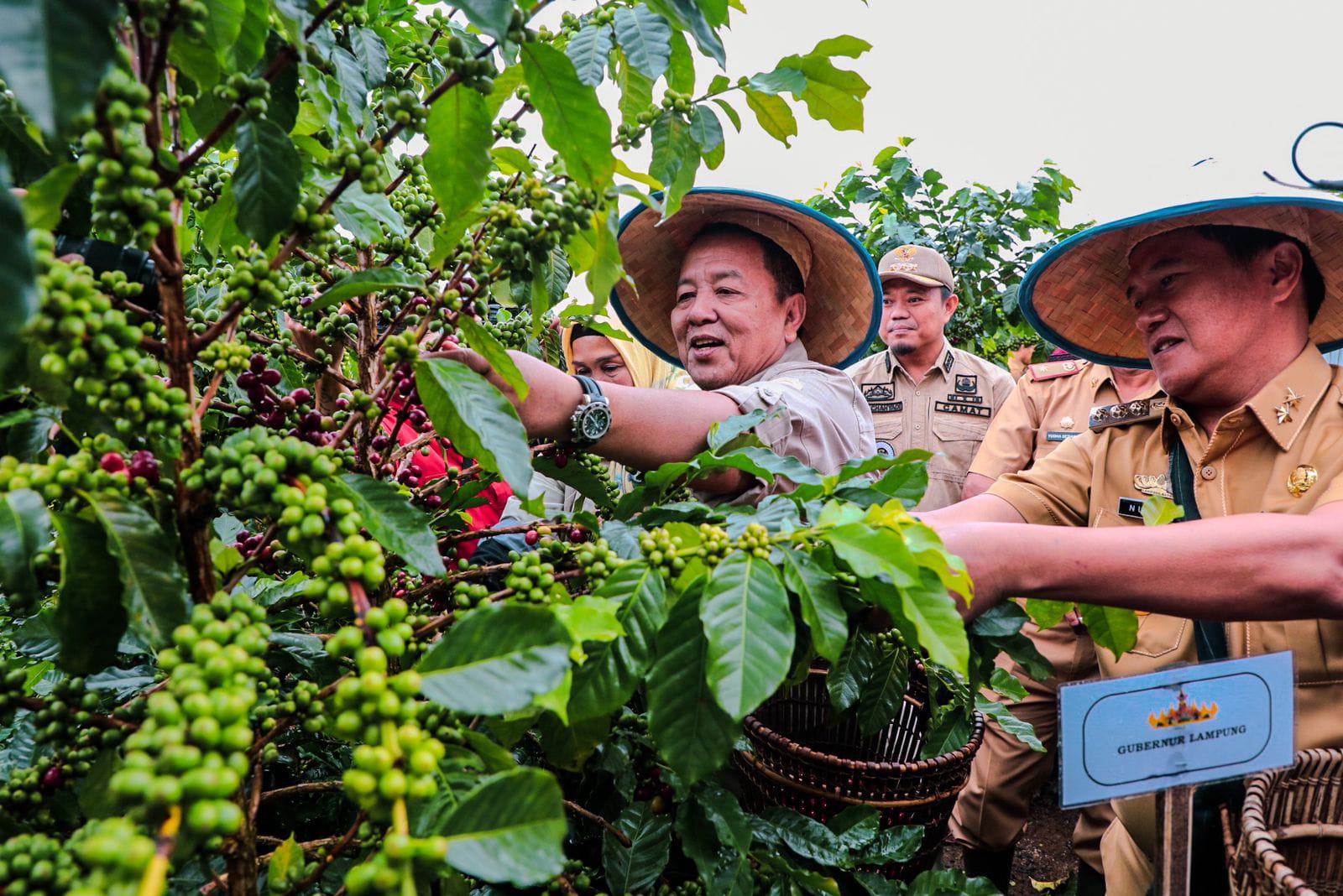 e-KPB Mudahkan Sistem Pertanian dan Tingkatkan Perekonomian Petani Lampung