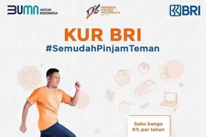 Wajib Tahu! Ini Faktor Penyebab Pengajuan KUR BRI Ditolak Oleh Pihak Bank