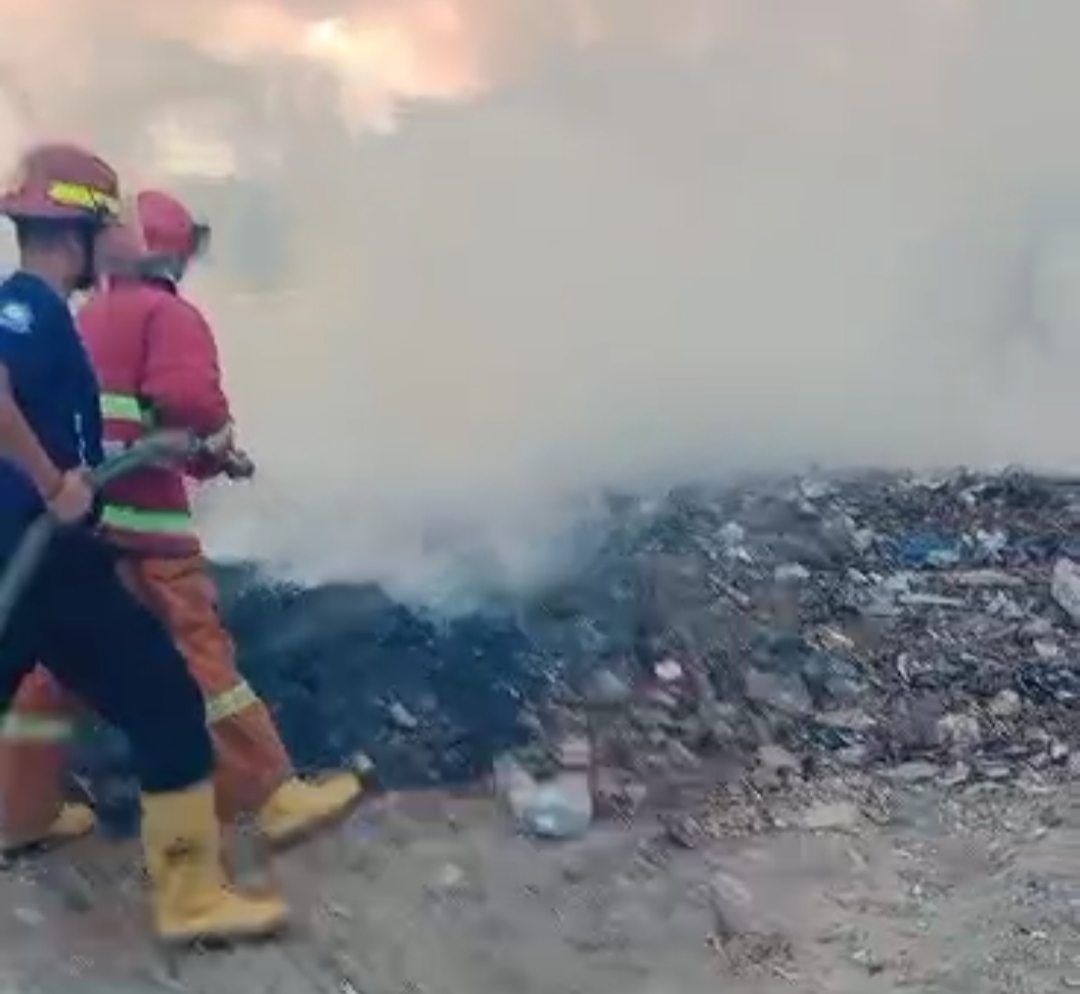Dahsyat, Dalam 1 Hari, Tiga Kebakaran Lahan di Kota Bandar Lampung Terjadi, Salah Satunya Lahan di TbS