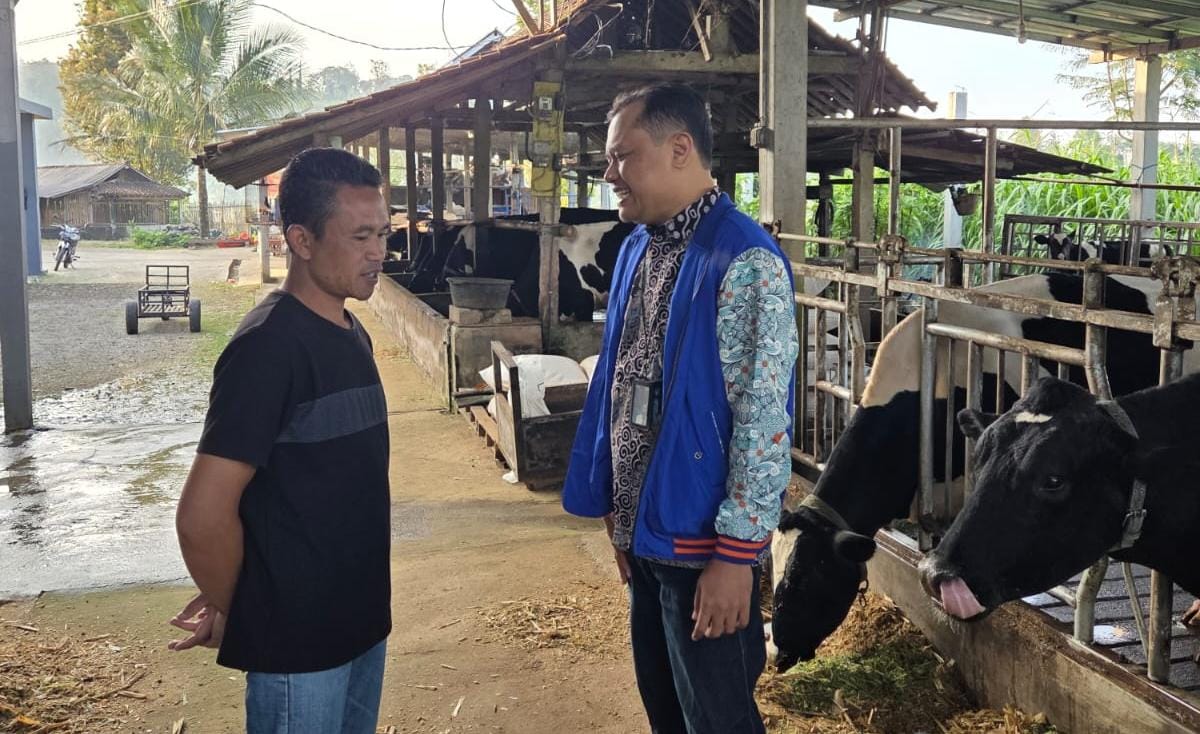 Pengusaha Pakan Ternak Asal Ponorogo Buktikan KUR BRI Bisa Bikin Usaha Berkembang