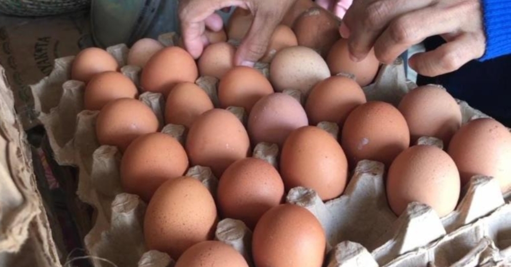 Capai Rp33 Ribu per Kg, Warga Bandar Lampung Berharap Kenaikan Harga Telur Ayam Kembali Normal 