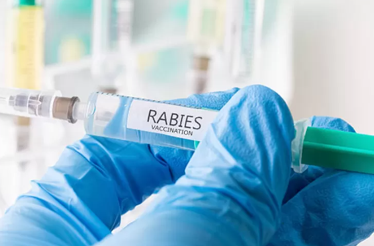 Cegah Rabies, Edukasi Kepada Masyarakat Perlu Ditingkatkan