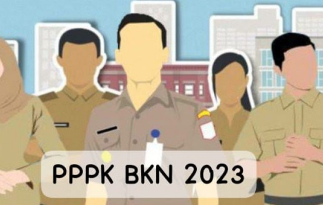 Simak! Hasil Tes PPPK Formasi Kesehatan dan Teknis di Mesuji Lampung