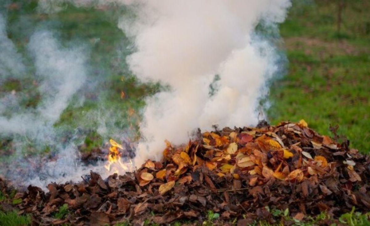 Ingat! Jangan Asal Membakar Sampah, Asapnya Mengandung Polutan Beracun