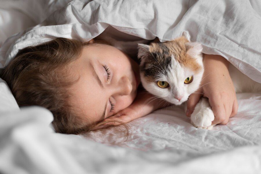 Manfaat Psikologis Bagi Manusia Jika Memelihara Kucing