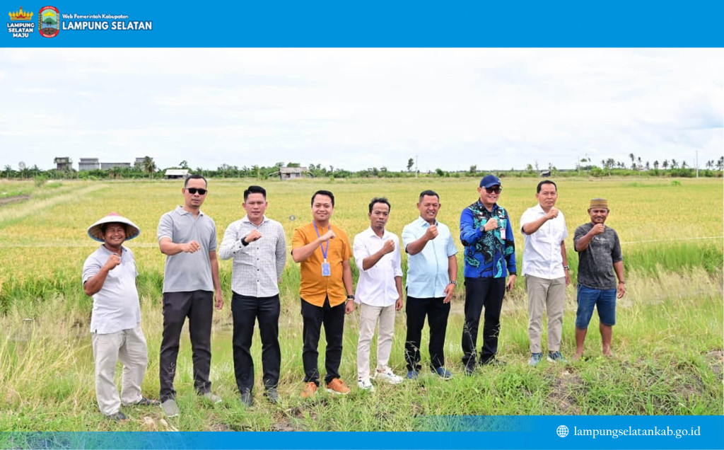Padi Biosalin, Inovasi Cerdas Ubah Tambak Asin Menjadi Sawah Produktif di Lampung Selatan