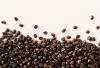 Check the Facts About West Lampung Coffee Bean Production 