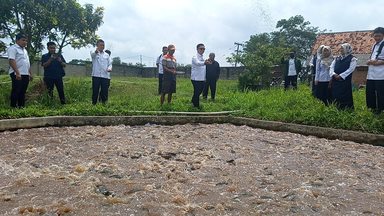 Pemkot Metro Rancang Program Budidaya Ikan Lele di Setiap Kelurahan untuk Tingkatkan Ekonomi Masyarakat