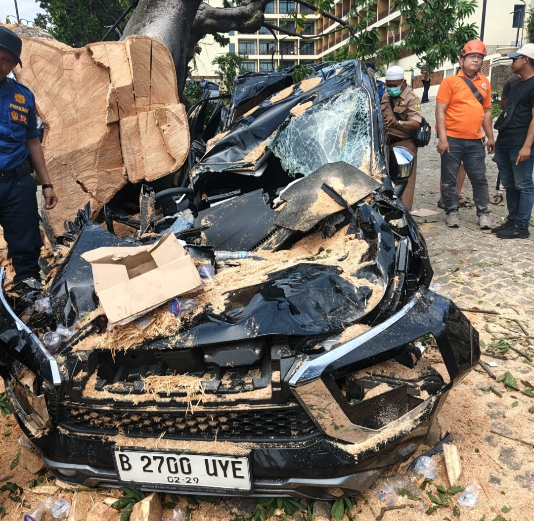 Pohon Tua Tumbang Timpa Dua Kendaraan Tamu, Ini Penjelasan Manajemen Holiday Inn 