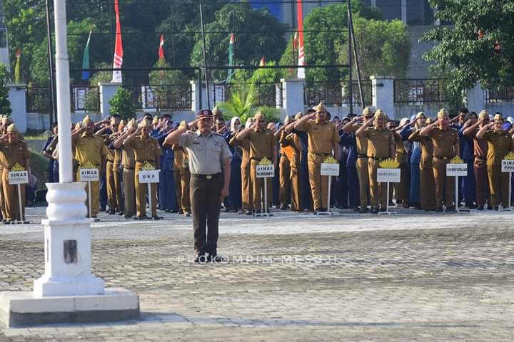 Pejuang PNS Siap-siap, Pemkab Mesuji Bakal Buka 63 Formasi CPNS