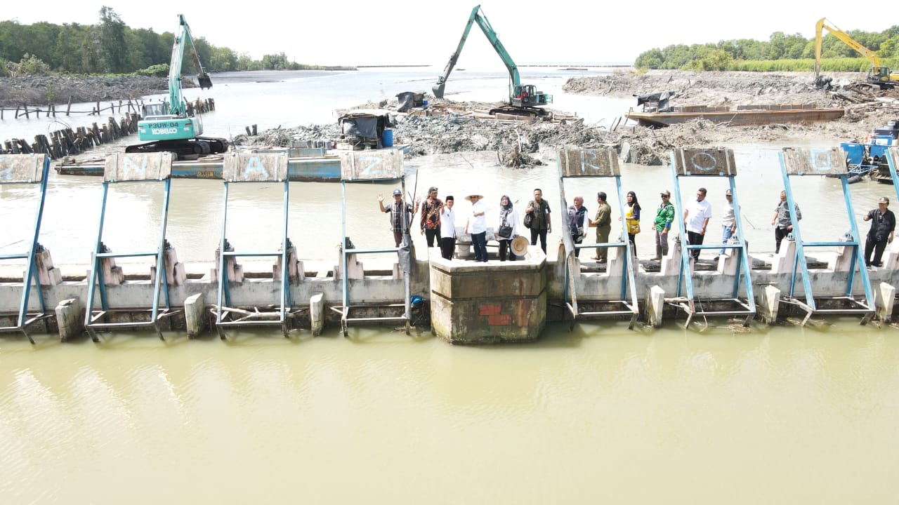 Produksi Udang Turun Drastis, DPR RI Dukung Program Revitalisasi Mandiri