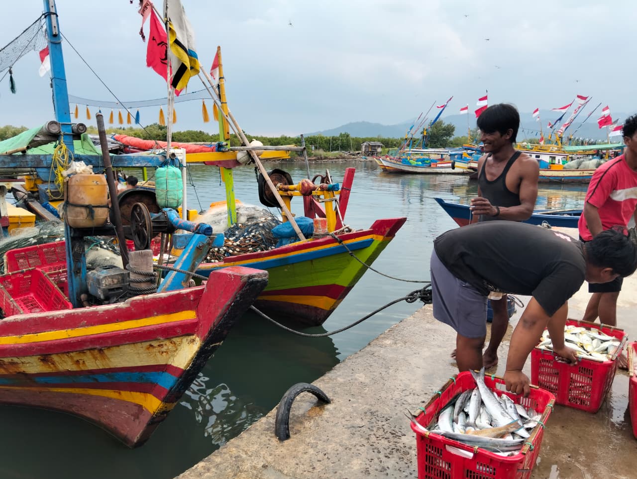 Cuaca Ekstrem Hantam Perairan Lampung: Nelayan Paceklik, Harga Ikan di Pasar Bergejolak
