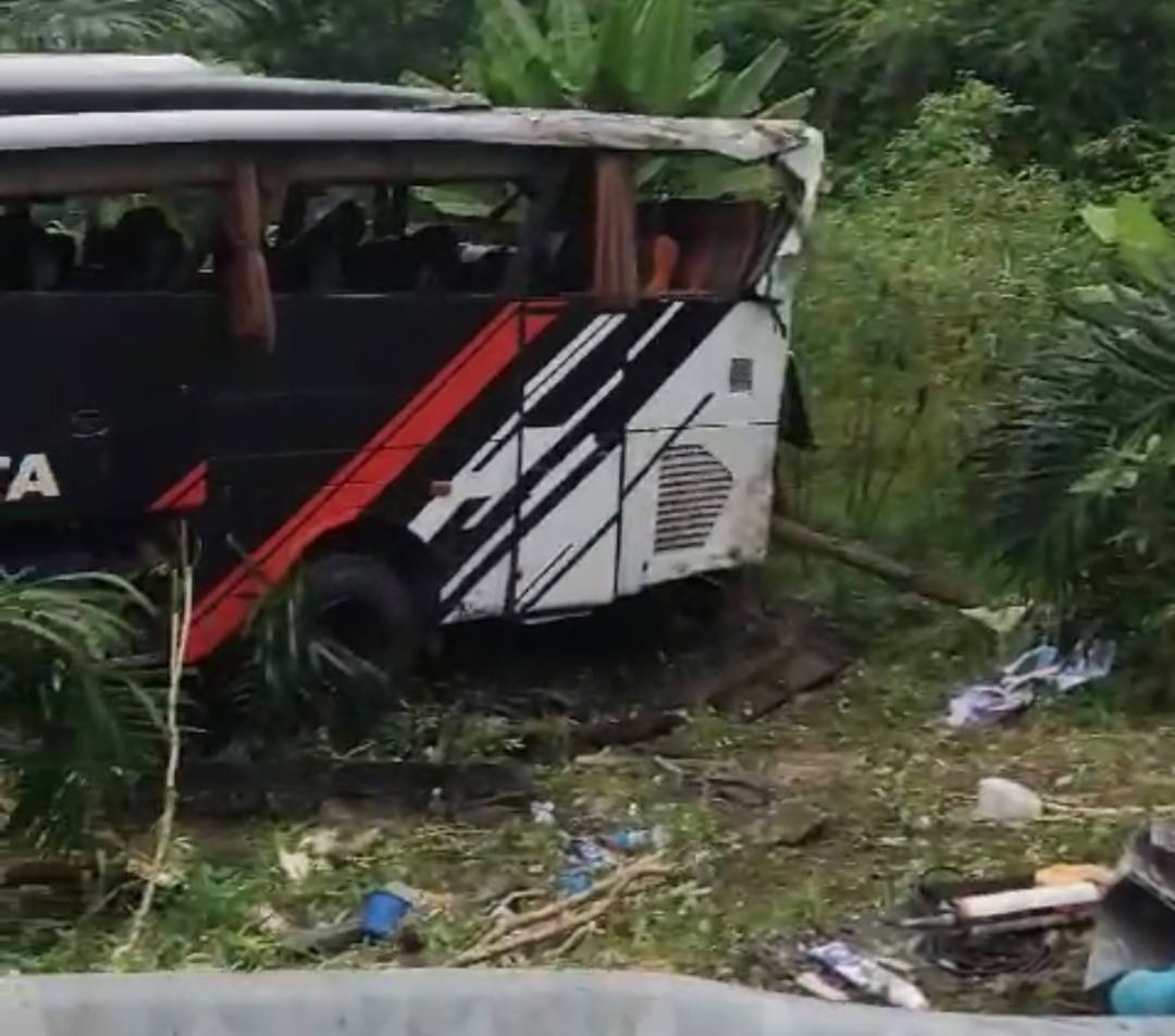 Bus Study Tour MIN 1 Pesisir Barat Lampung Masuk Jurang di Jalinbar Tanggamus, Begini Kondisinya