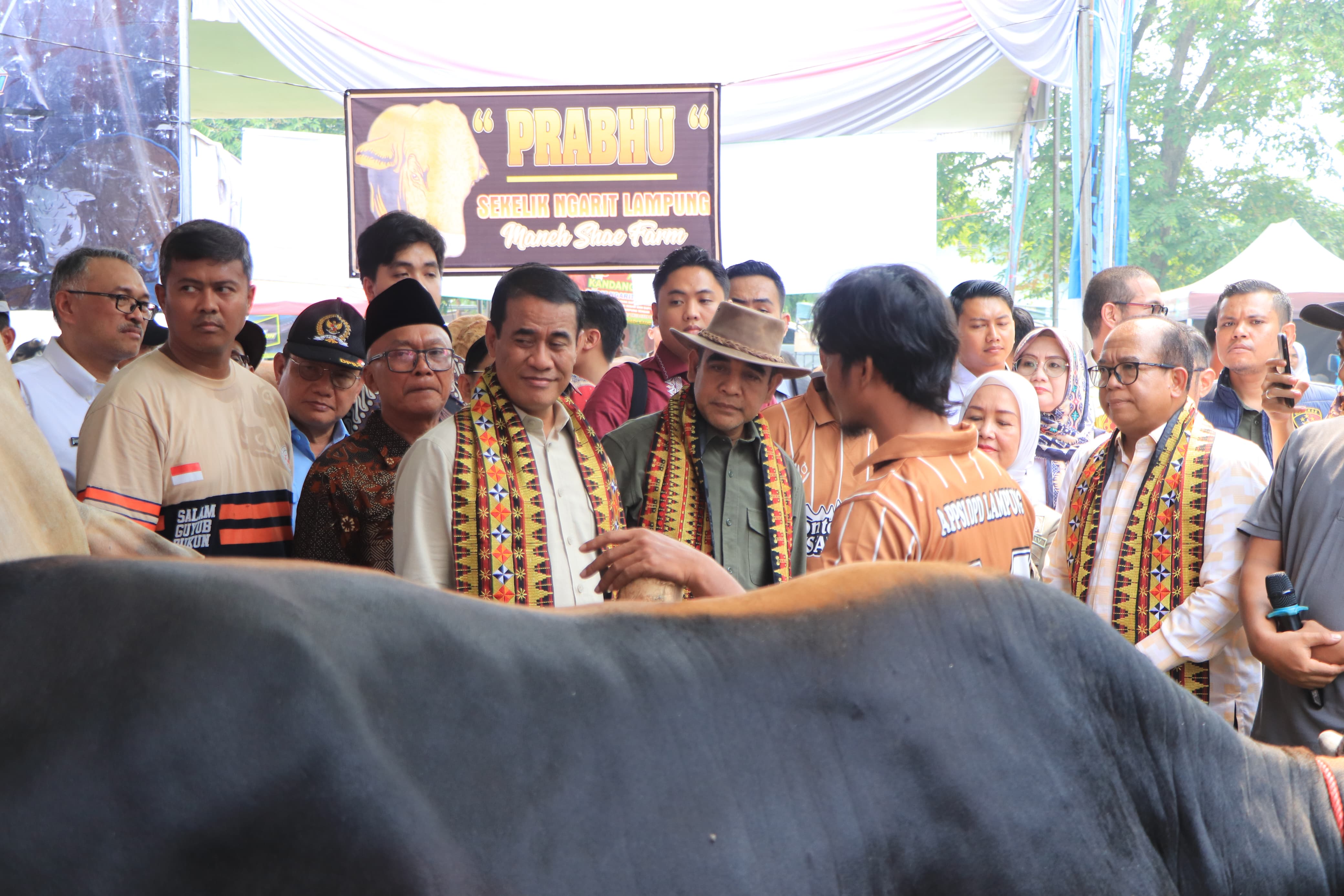 Pj. Gubernur Lampung Samsudin Dukung Wujudkan Ketahanan Pangan Nasional