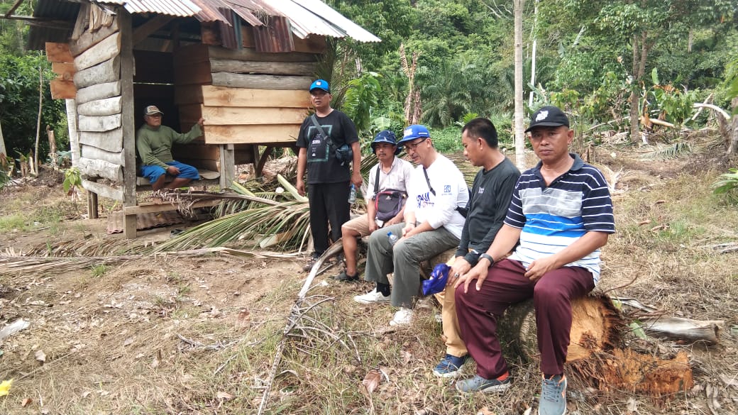 Rombongan Gajah Liar Hancurkan 11 Gubuk Warga di Pesisir Barat Lampung