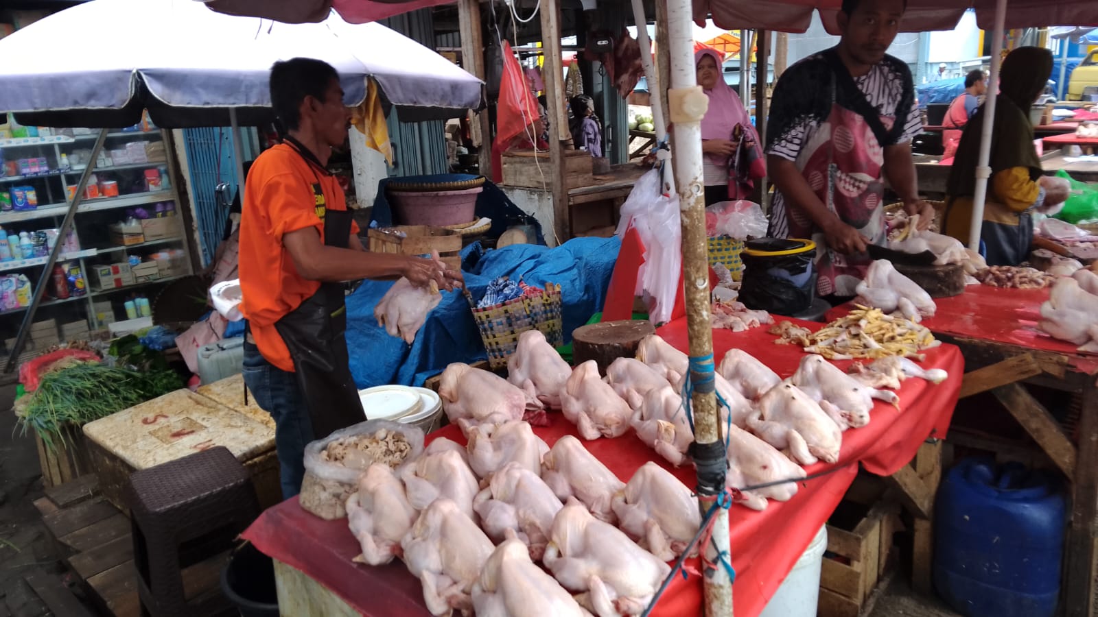 Kadisdag Bandar Lampung Ungkap Harga Ayam Ras Naik karena Stok Menurun, Operasi Pasar Segera Digelar