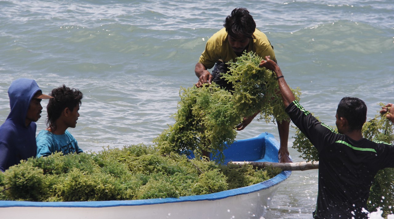 Senyawa Bioaktif Biota Laut Perairan Indonesia