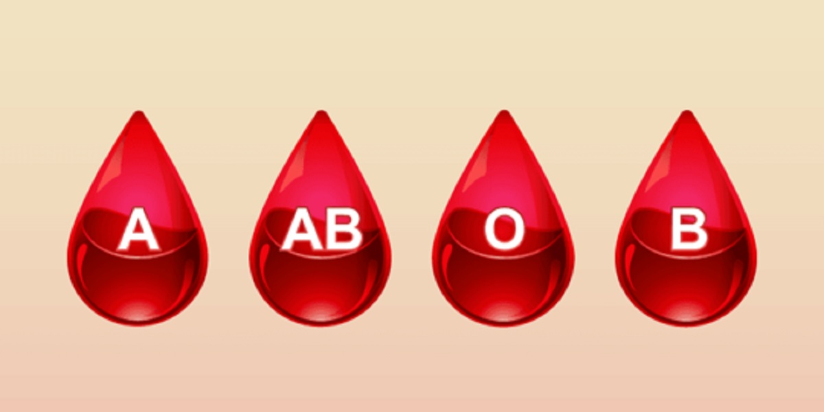Tingkat Kesuksesan Seseorang Dilihat Dari Golongan Darah, Kamu yang Mana? 
