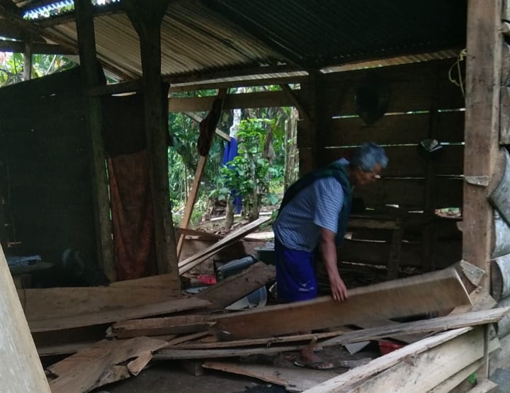 Diseruduk Gajah, Rumah Warga Suoh Lampung Barat Nyaris Roboh