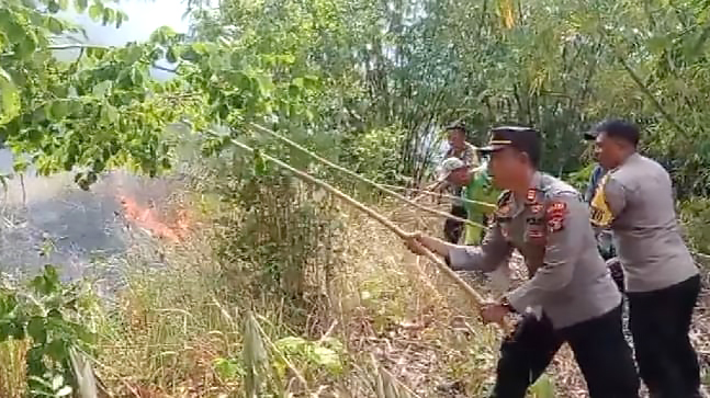 Kebakaran Lahan, Tanaman Jati dan Bambu di Pringsewu Hangus 