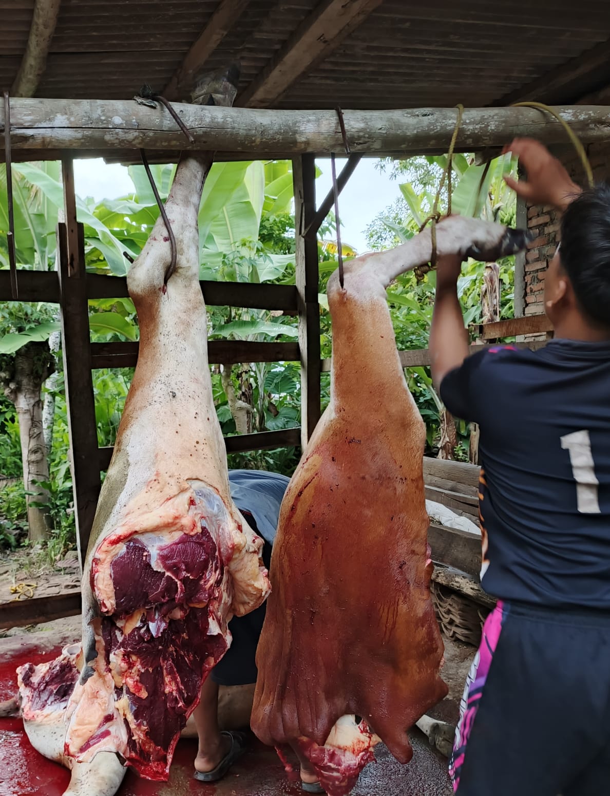 ​Jelang Ramadan, Harga Daging Sapi di Mesuji Tembus Rp150 Ribu per Kilogram