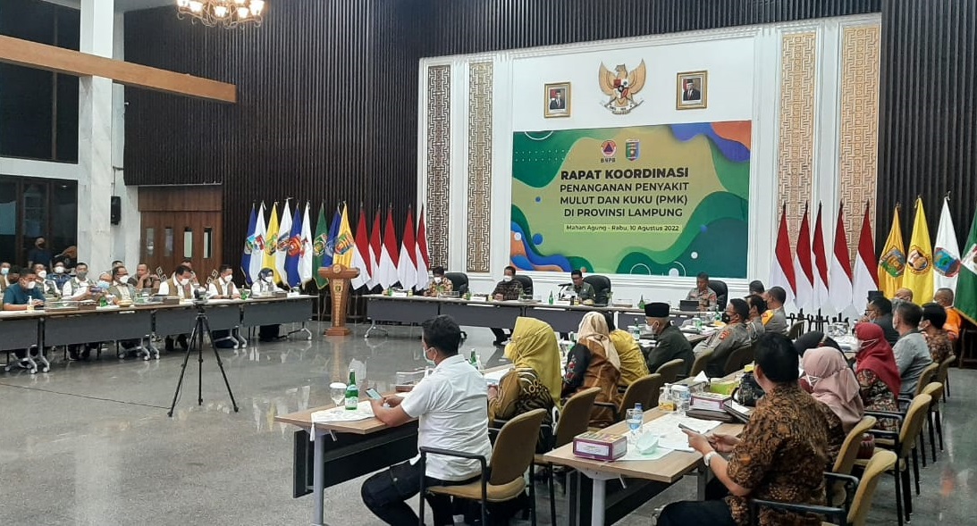 BNPB Yakin Lampung Dapat Menjadi Provinsi Ke 7 Zero Kasus PMK