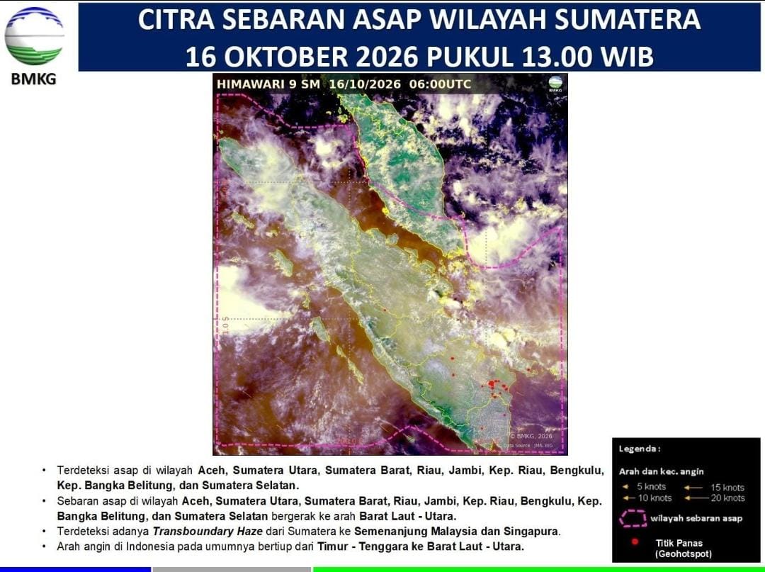Waspada! Asap Karhutla Kalimantan Sampai ke Pesisir Lampung 