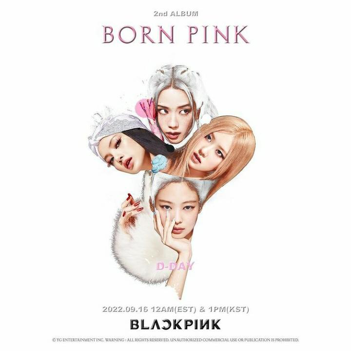 Sukses Bawakan Pink Venom, Kini Blackpink Sindir Haters Lewat Lagu Utama Album Born Pink