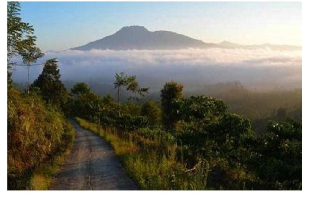3 Gunung di Lampung yang Miliki Misteri, Patut Dicoba