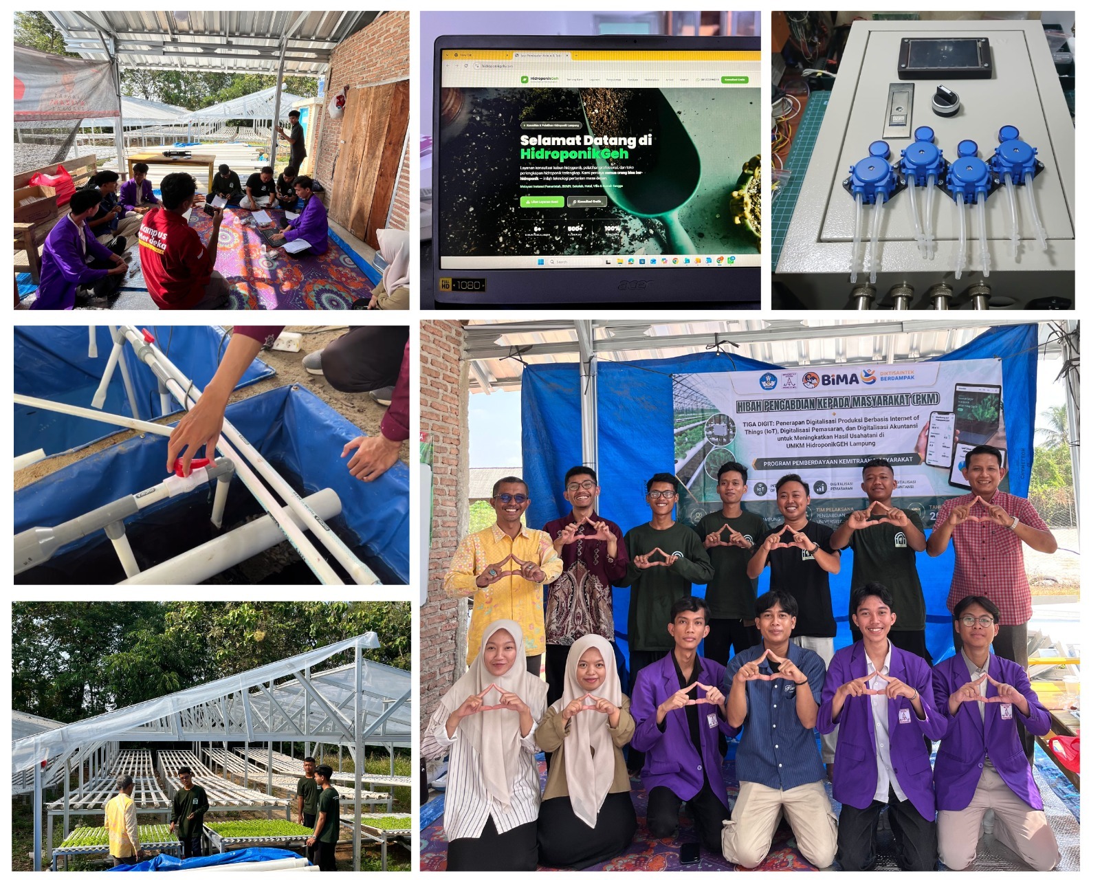 UMKM Hidroponik di Pringsewu Mulai Terapkan IoT, Pemasaran Digital, dan Akuntansi Digital