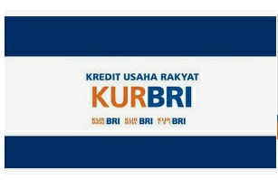 Panduan Pinjaman Bisa Cair KUR Bank BRI