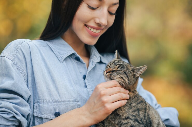 Julukan yang Biasa Digunakan Para Cat Lovers