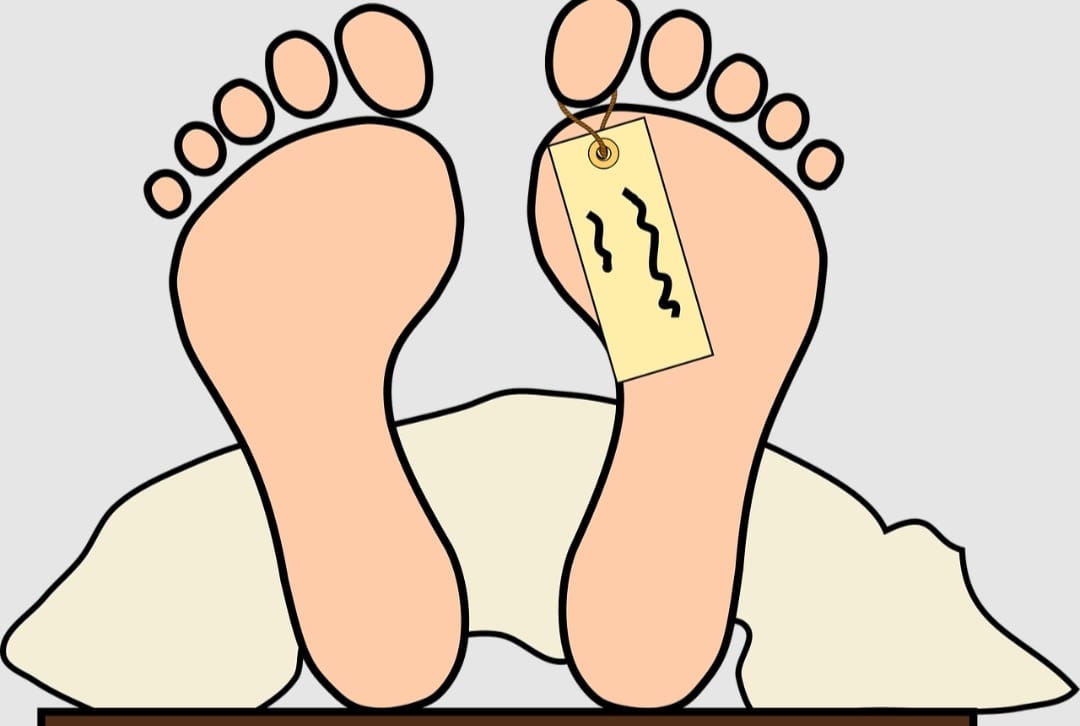 Geger! Pelajar SMK Di Lampung Ditemukan Tewas Membusuk di Kebun Sawit Tulang Bawang 