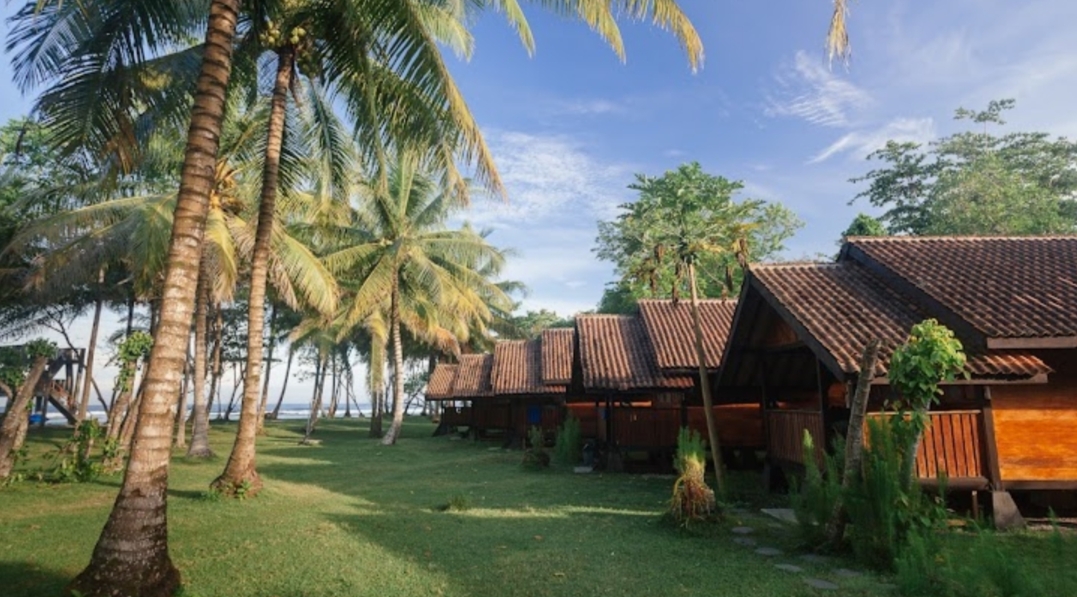 Sumatra Surf Resort Pesisir Barat, Alternatif  Liburan Akhir Tahun, Kolam Renang View Sunset Samudra Hindia 