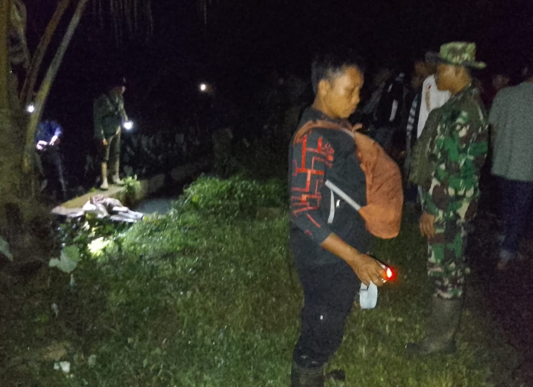 Teror Harimau di Pesisir Barat Kian Mencekam, Sapi Warga Kembali Dimangsa