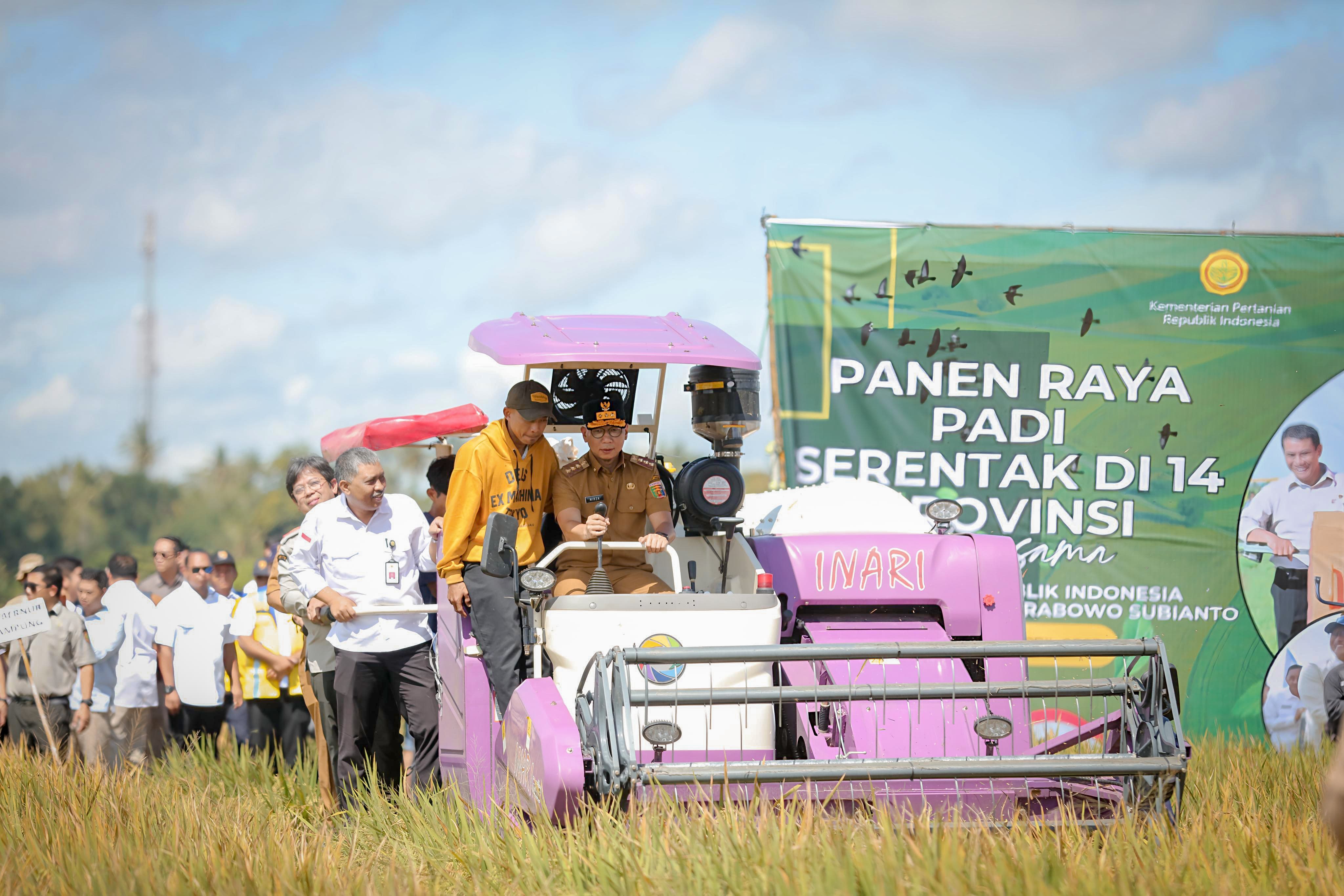 Masuki Masa Panen Gadu, Bulog Lampung Janji Serap 3 Juta Ton Gabah dengan Harga Sesuai HPP