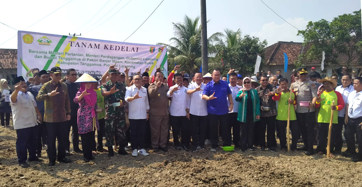 Menteri Pertanian dan Menteri Perdagangan Ikuti Gerakan Tanam Kedelai di Tanggamus