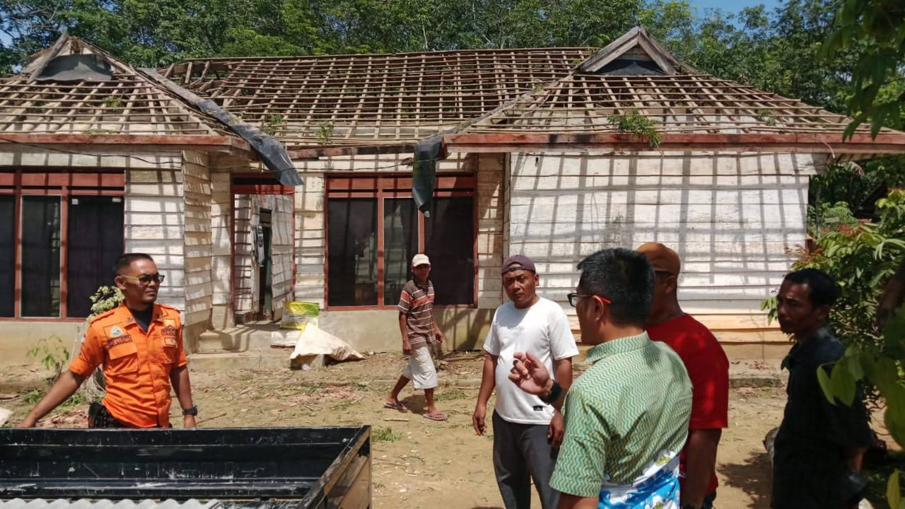 Pohon Raksasa Tumbang Timpa Rumah di Mesuji, BPBD Peringatkan Warga Soal Bahaya Cuaca Ekstrem