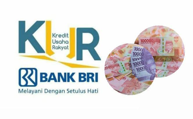 KUR Bank BRI 2023, Jenis Mikro atau Ritel yang Lebih Menguntungkan?