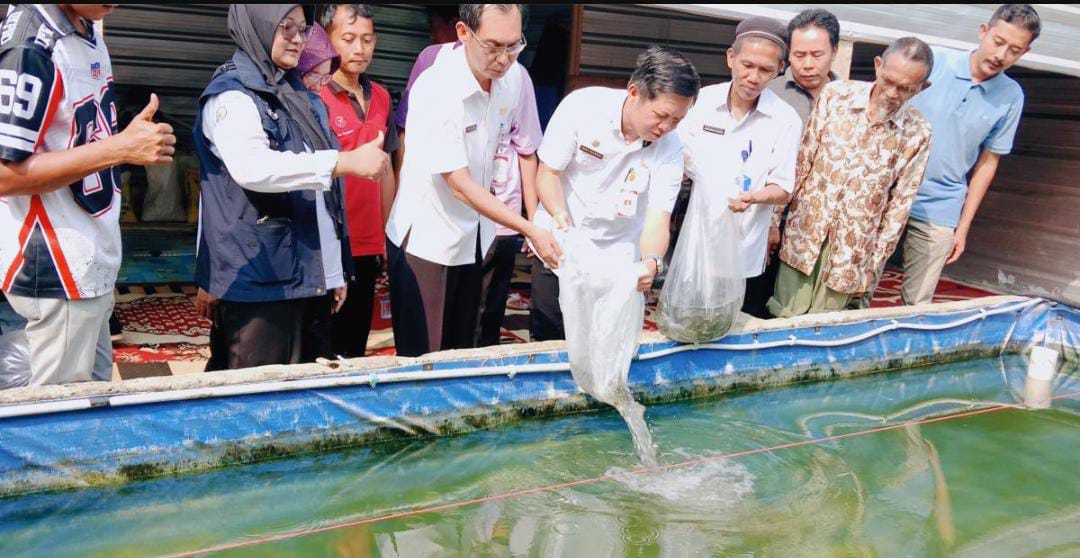 Dongkrak Produktivitas Ikan Air Tawar, Pemkab Tulang Bawang Bagikan Benih Ikan kepada Delapan Pokdakan
