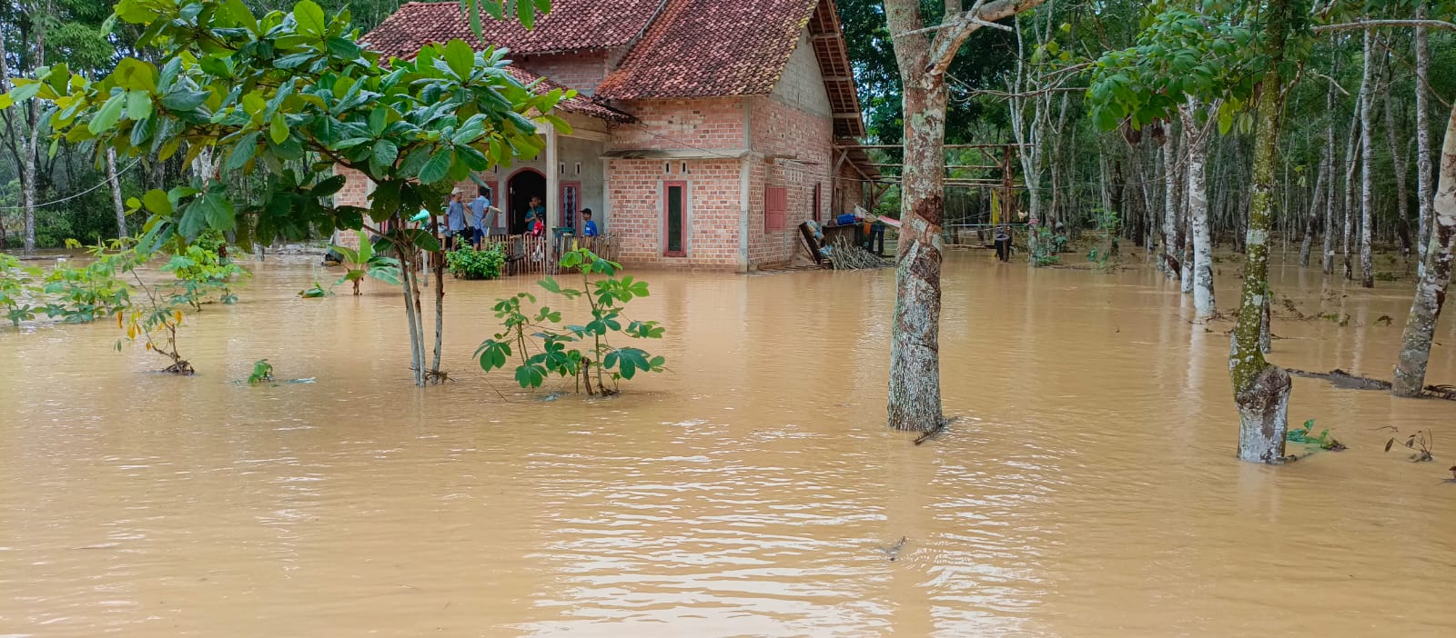 Ada 63 Rumah Warga yang Terendam Banjir dan Ratusan Hektar Lahan Perkebunan dan Persawahan 