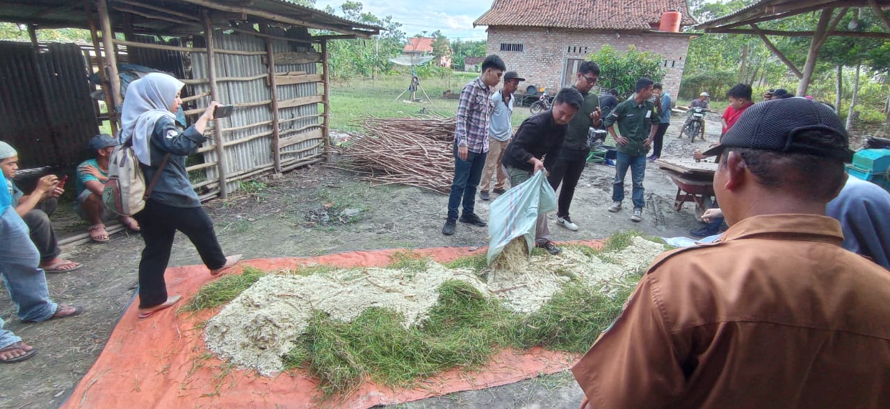 Aksi Tim Kedaireka FP Unila di Empat Kabupaten