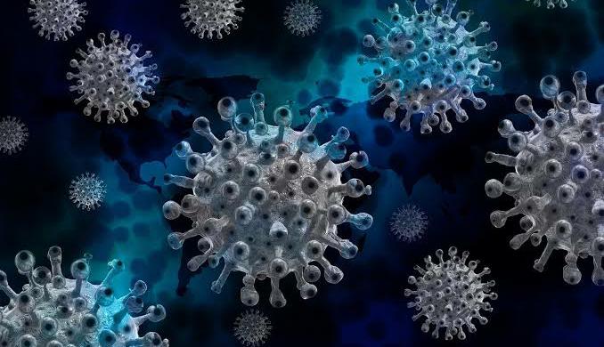 Cegah Virus Covid-19, Ini 6 Makanan Penguat Daya Tahan Tubuh