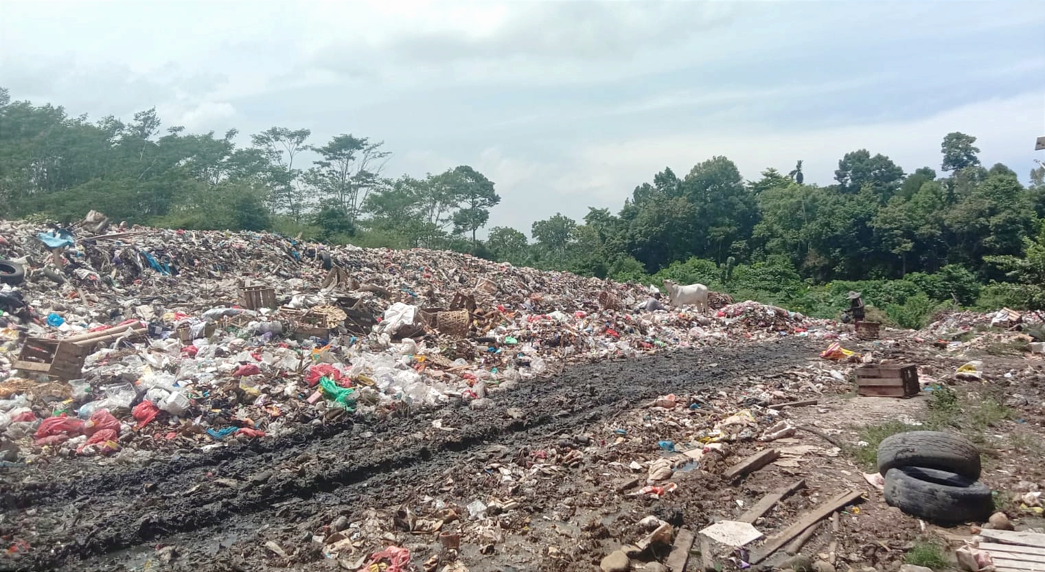 Kolam Penampung tak Maksimal, Tumpukan Sampah Kian Menggunung