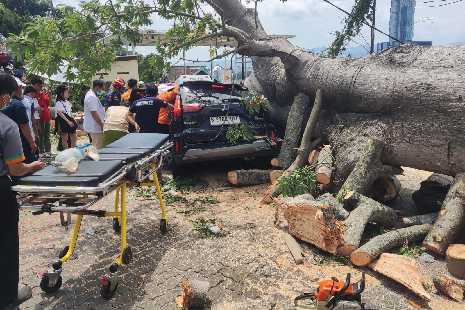 Pohon Raksasa Tumbang Di Kawasan Holiday Inn Bandar Lampung, 2 Mobil Tertimpa dan Satu Pengemudi Terjebak 