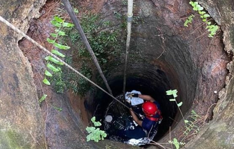 Dramatis! Kucing Persia Tercebur Sumur 7 Meter di Bandar Lampung, Damkarmat Turun Tangan