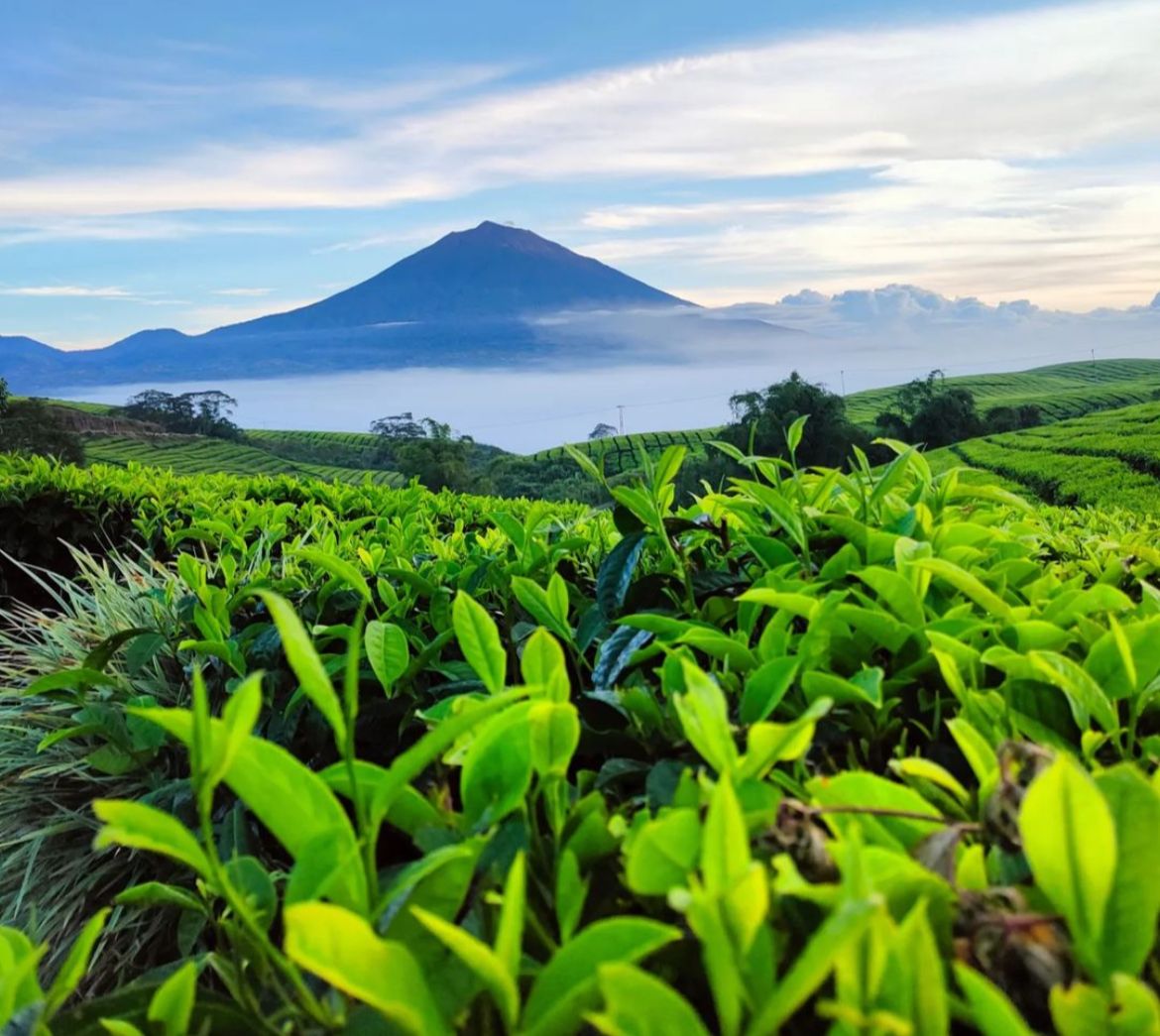 Serasa Berada di Atas Awan, Inilah Deretan Destinasi Wisata di Kerinci yang Menakjubkan