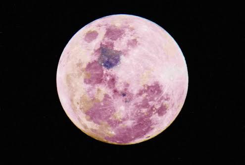 Pink Moon 2026 Bisa Dilihat Tanpa Teleskop, Ini Waktu dan Cara Terbaik Menyaksikannya